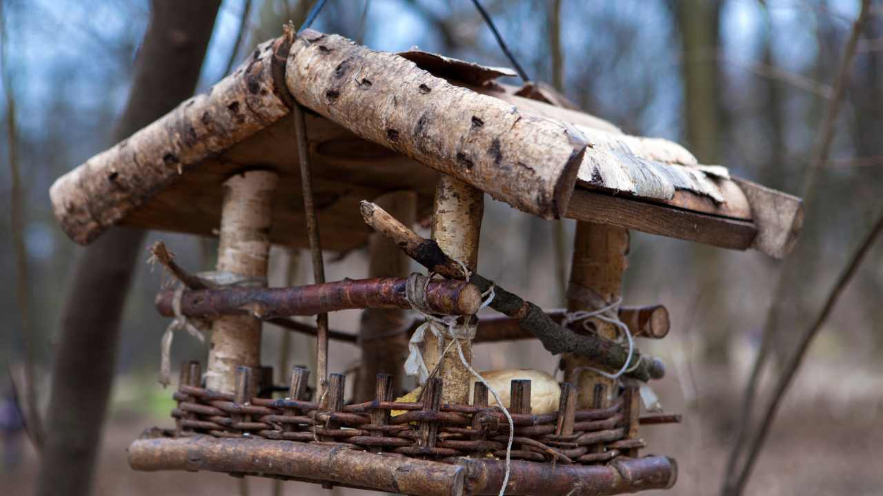 Assisting Migratory Birds Apart from Feeders