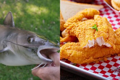 15 Catfish Recipes That Will Make You a Believer